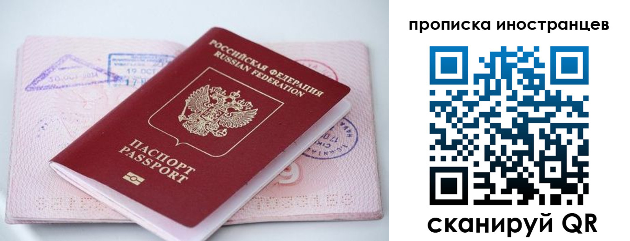 прописка для школы в Дубовке